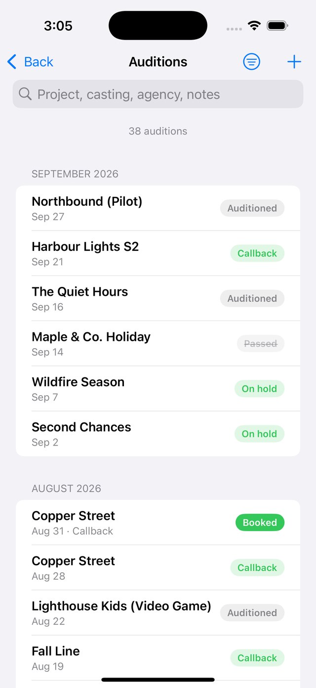 The audition log: projects by month with outcomes